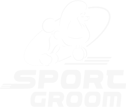 Point Now Sistema digital de juzgamiento de grooming